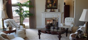 Wendy Carr Interior Designs - Living & Family Rooms