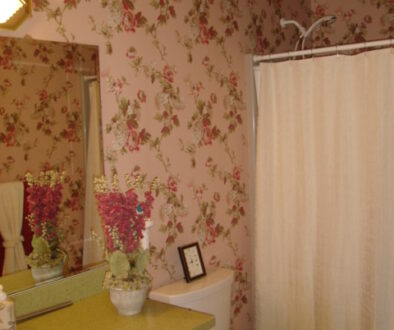 Wendy Carr Interior Designs: Bathrooms
