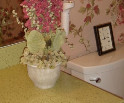 Wendy Carr Interior Designs: Bathrooms