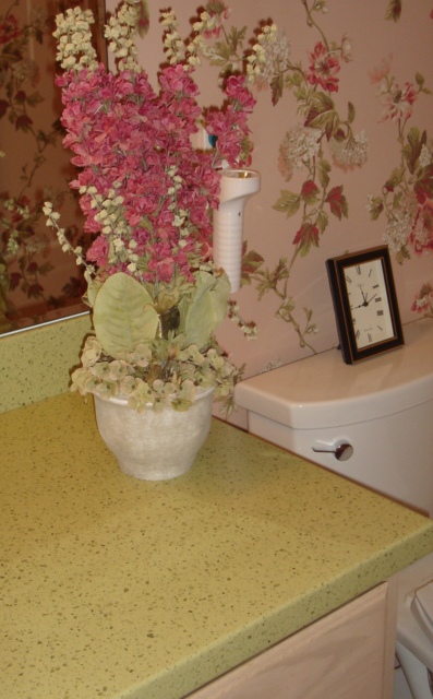 Wendy Carr Interior Designs: Bathrooms