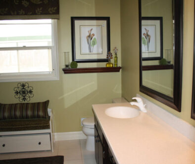 Wendy Carr Interior Designs: Bathrooms