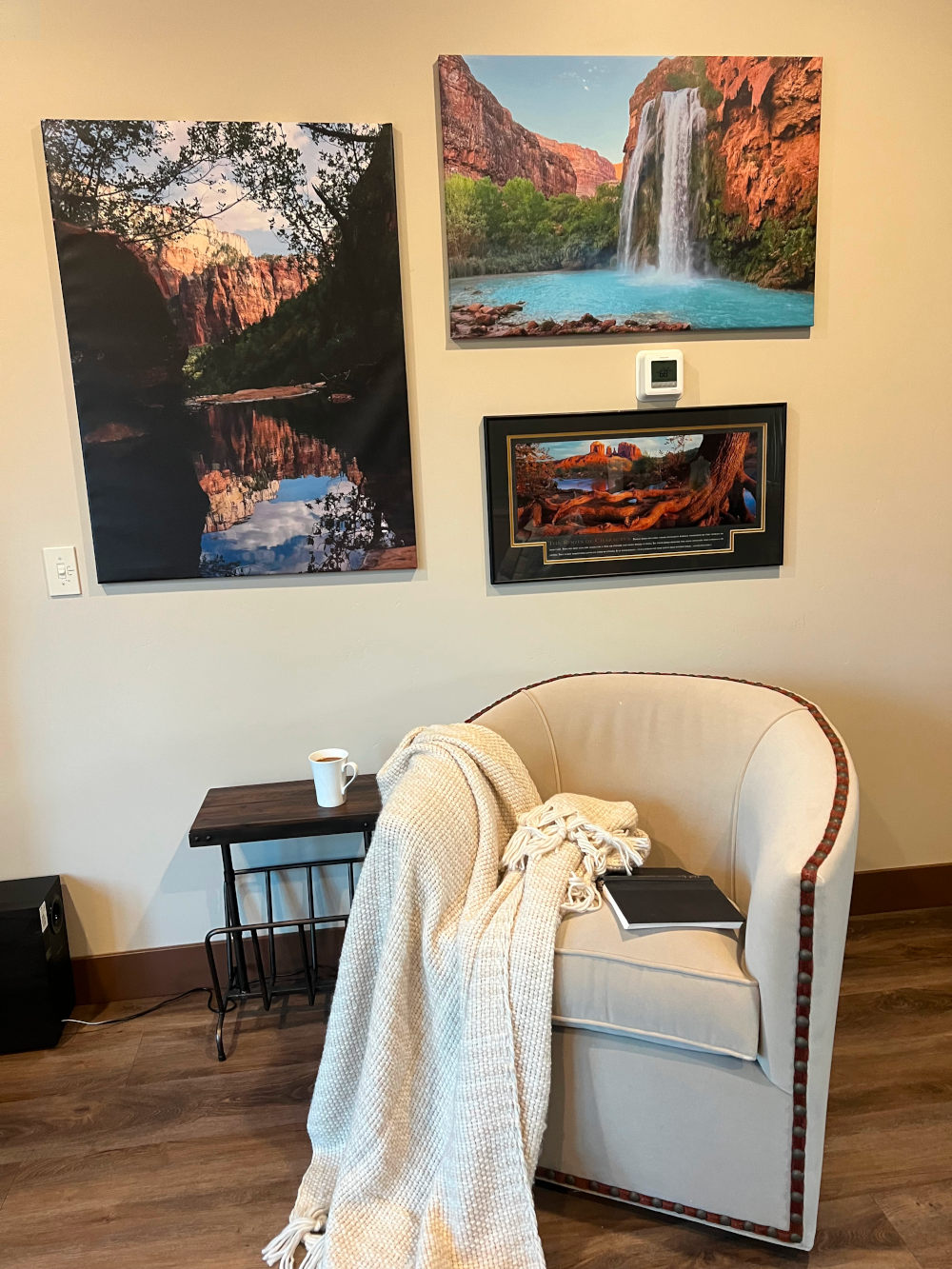 Wendy Carr Interior Designs: Living & Family Rooms