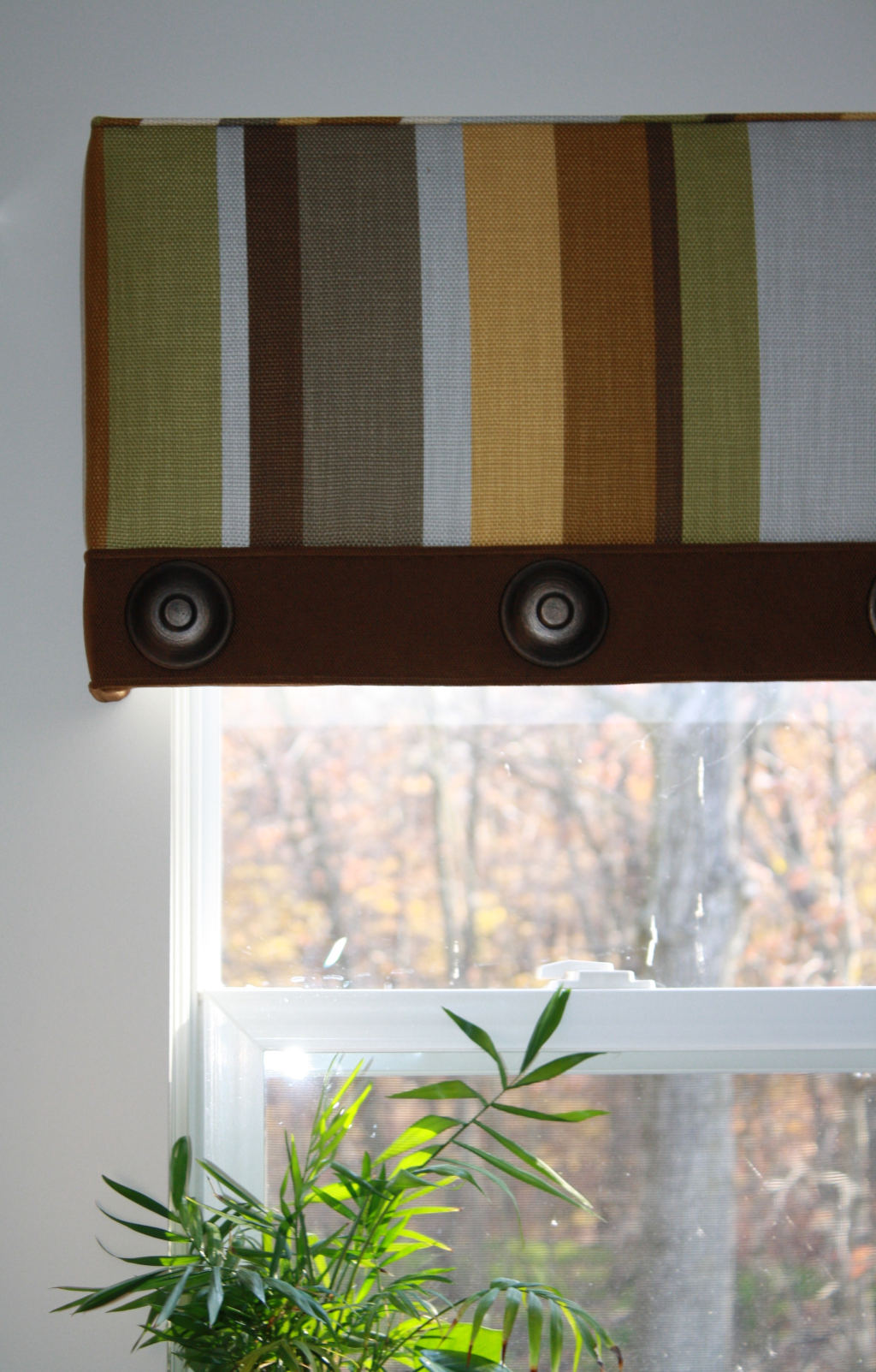 Wendy Carr Interior Designs: Window Treatments